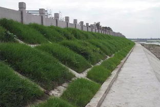 綿竹加強河道水環(huán)境治理，推進生態(tài)環(huán)境檢測服務