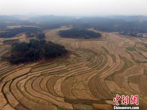 環(huán)保部原則通過農(nóng)用地土壤環(huán)境管理辦法草案，推動(dòng)環(huán)境治理新階段