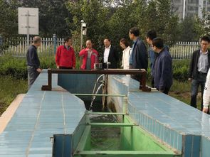 生態(tài)環(huán)境部與省生態(tài)環(huán)境廳聯(lián)合調研我市污水處理廠治理工作