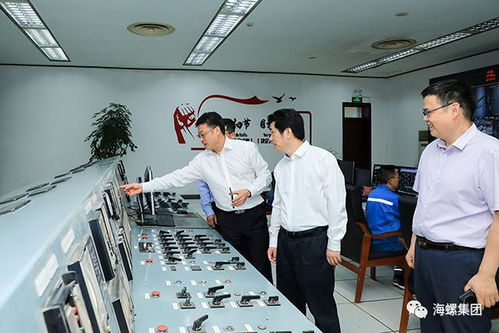海螺集團(tuán)一把手楊軍深入寧國宣城調(diào)研 明確拍賣業(yè)務(wù)優(yōu)化方向
